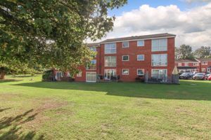 Photo 11- click for photo gallery